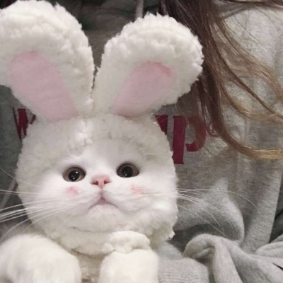 前女友神似樸信惠